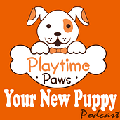 Playtime Paws Logo for Your New Puppy Podcast