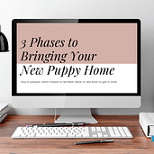 A three part video series all about the 3 phases to bringing your new puppy home
